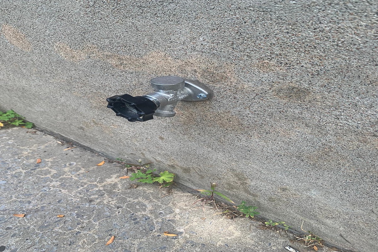 whatsapp image 2025 09 17 at 17.05.38 ef23683e